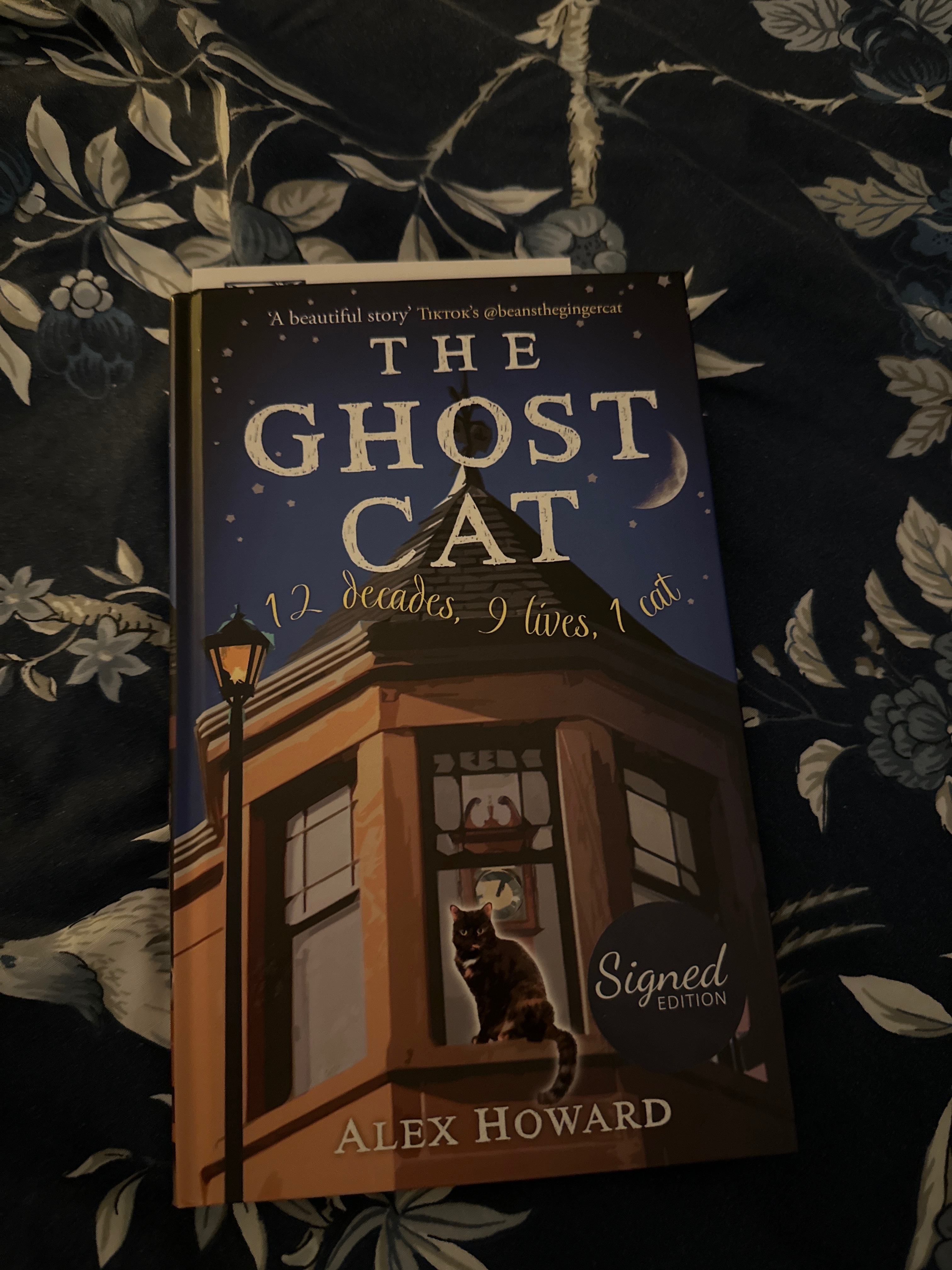 The Ghost Cat