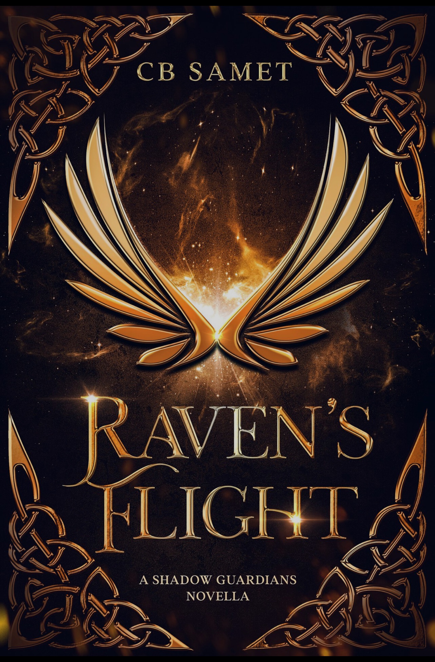 Raven's Flight: urban fantasy novella
