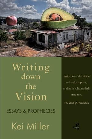 Writing Down the Vision: Essays & Prophecies