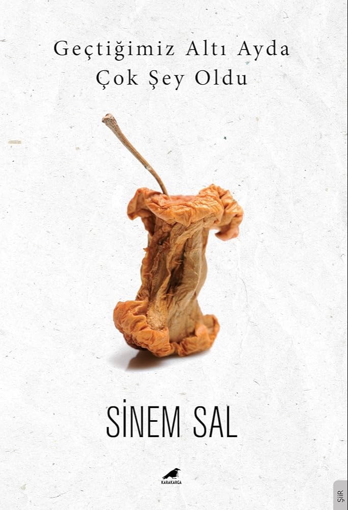 Geçtiğimiz Altı Ayda Çok Şey Oldu