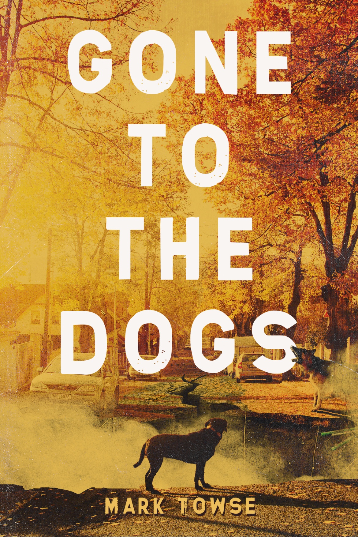 Gone to the Dogs 