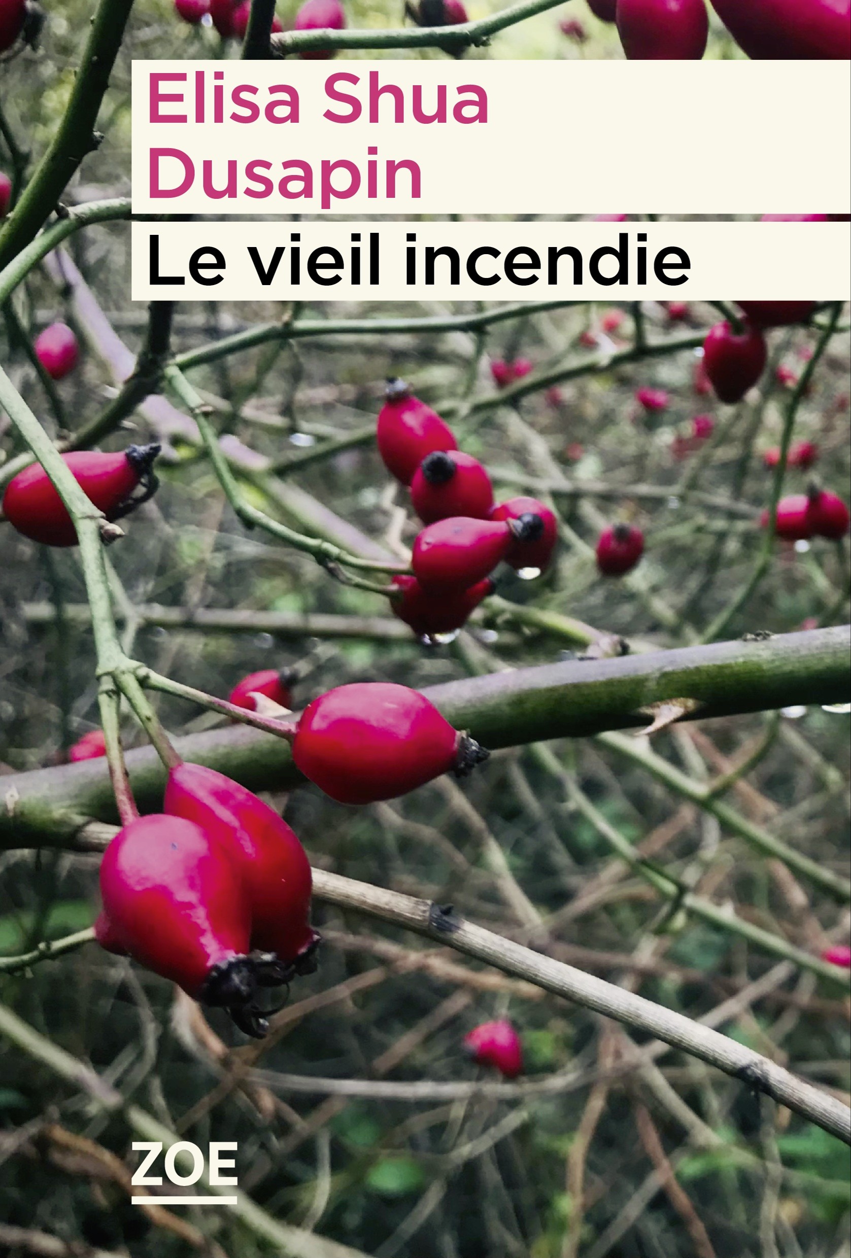 Le vieil incendie