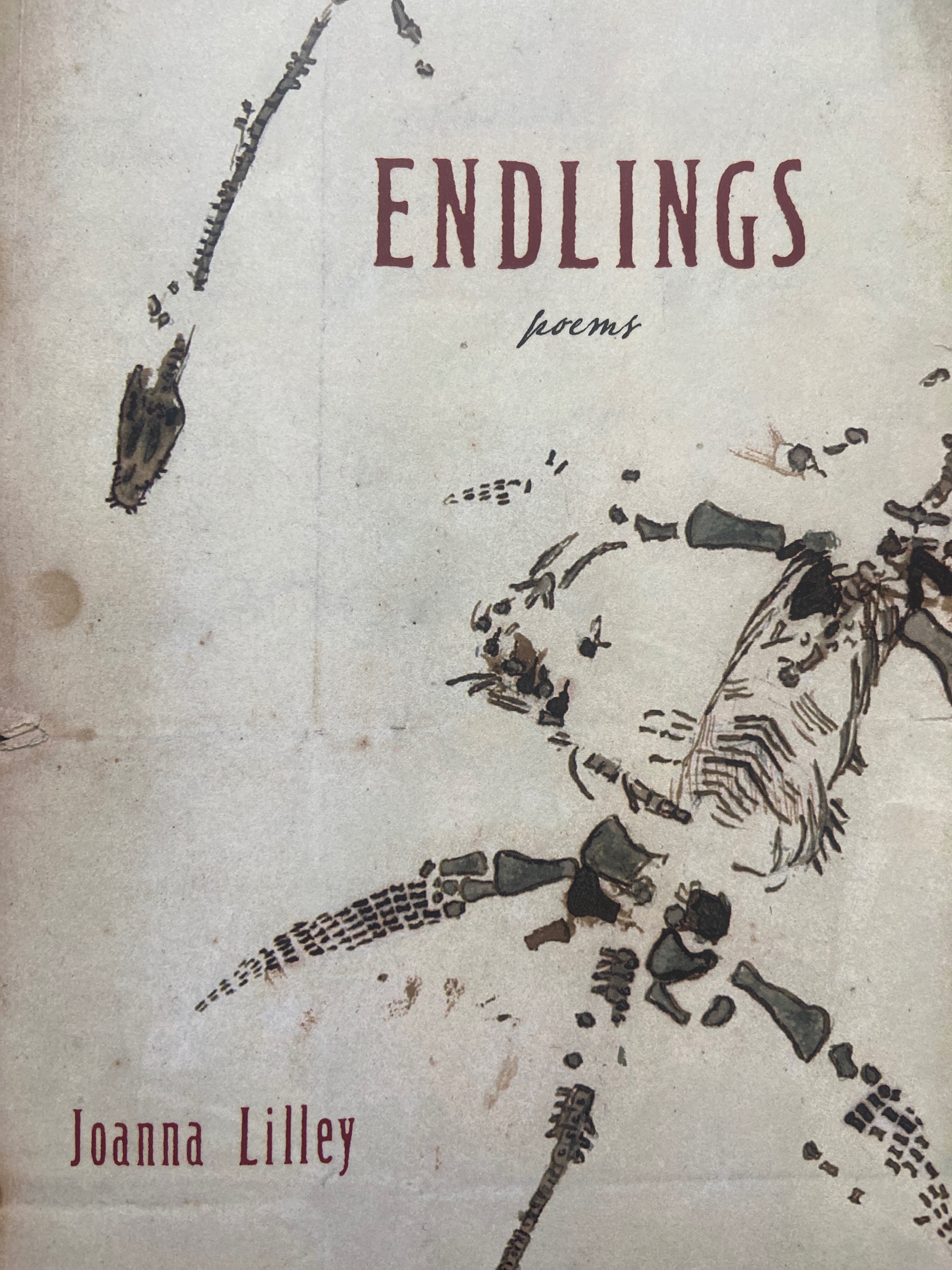 Endlings