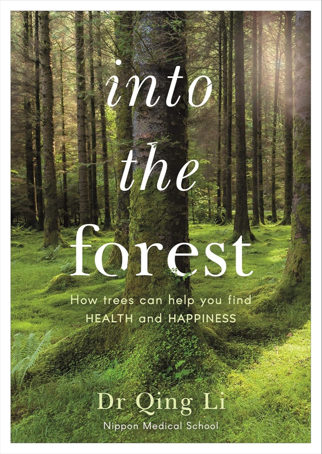 Into the forest