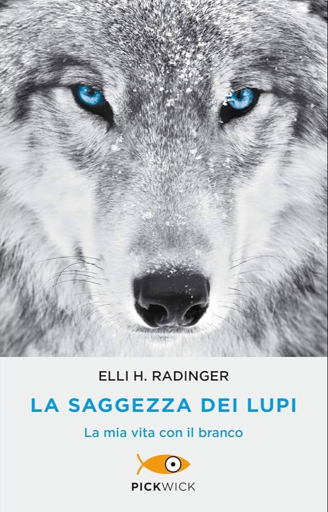 La saggezza dei lupi