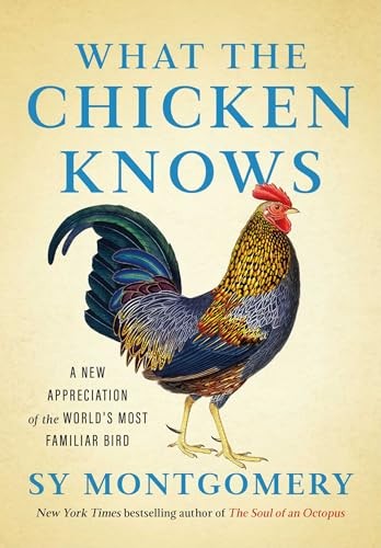 What the Chicken Knows