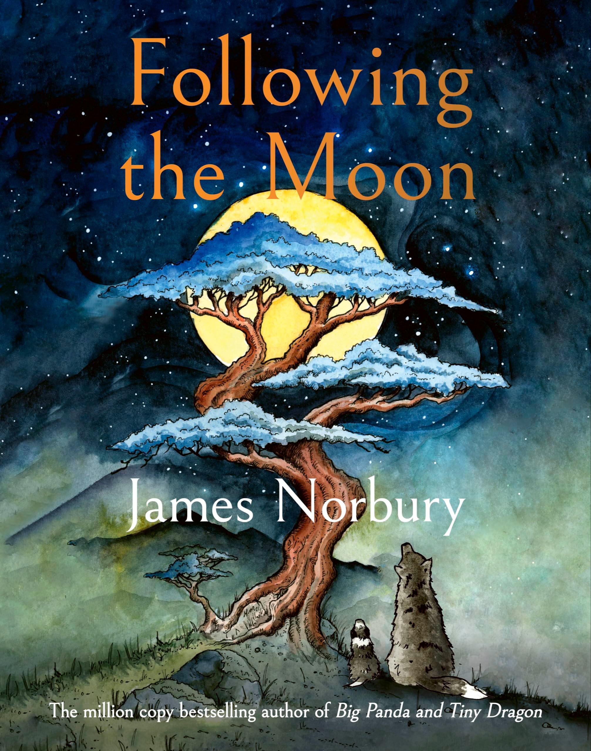 Following The Moon