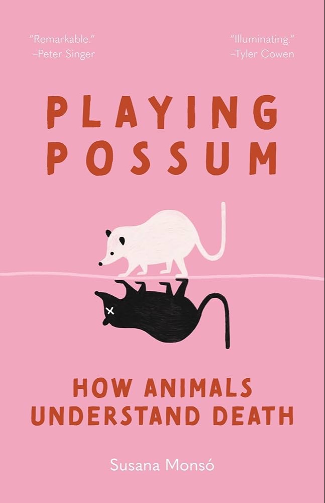 Playing Possum