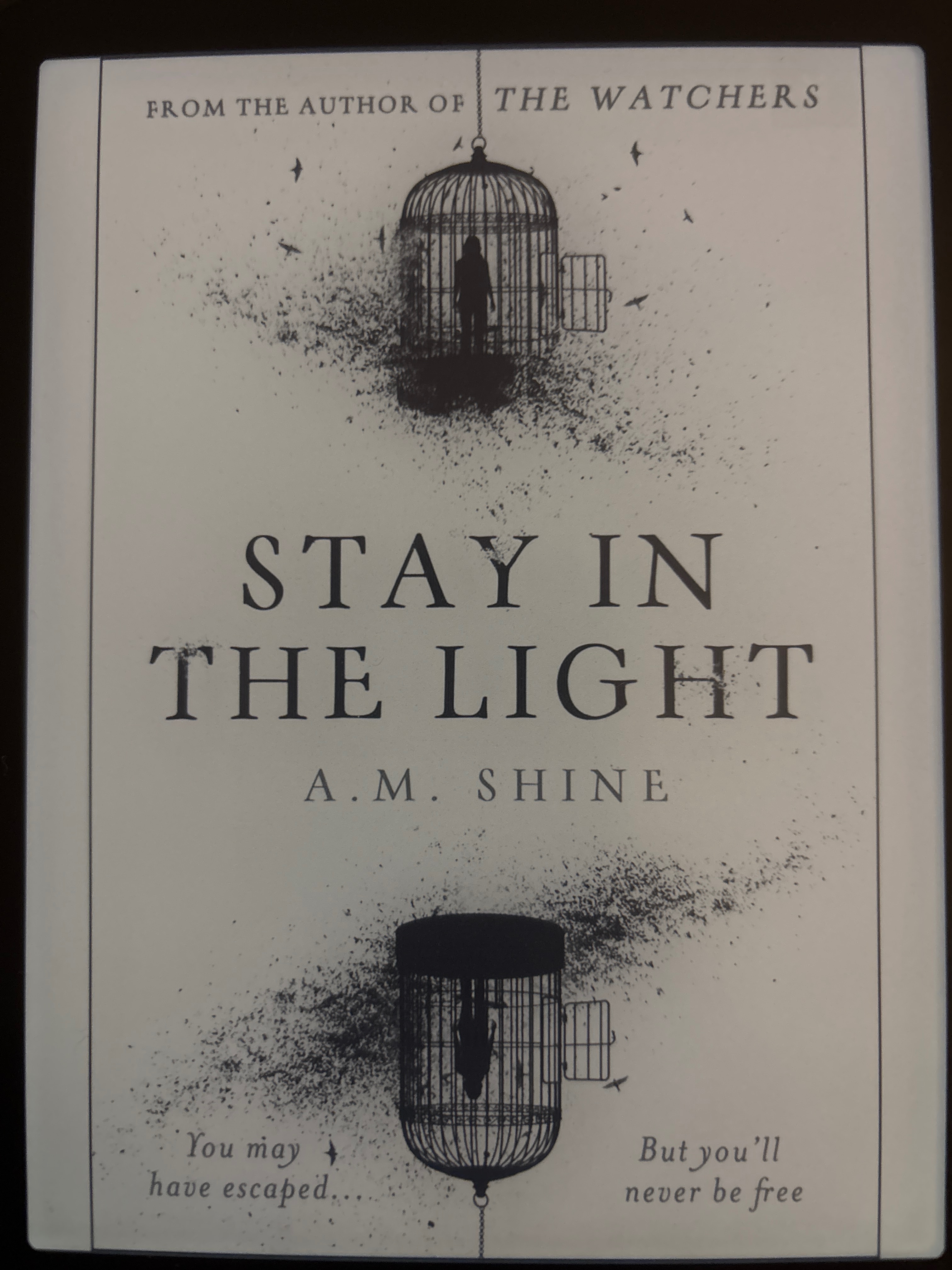 Stay in the Light