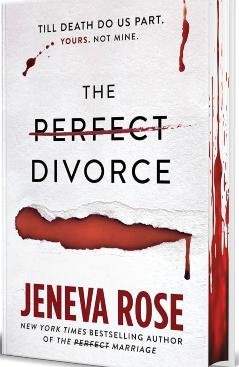 The Perfect Divorce 