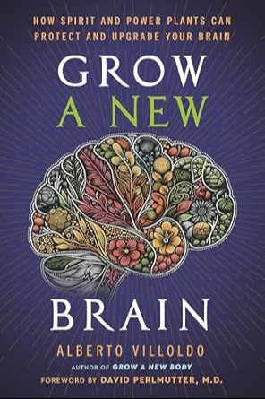 Grow A New Brain