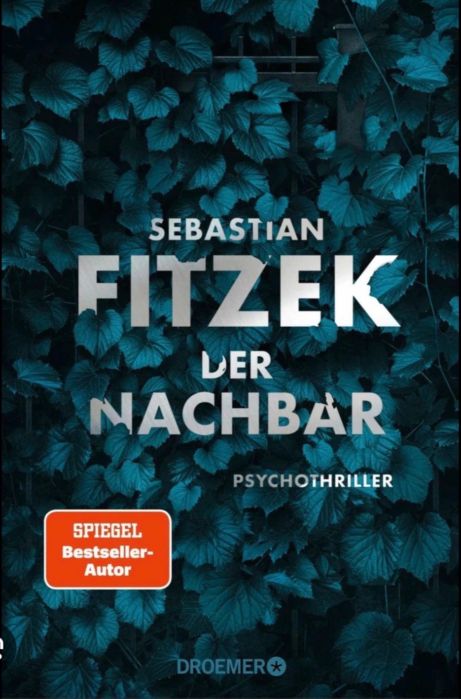 Der Nachbar