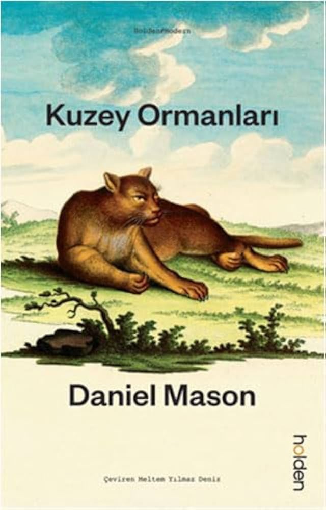 Kuzey ormanları