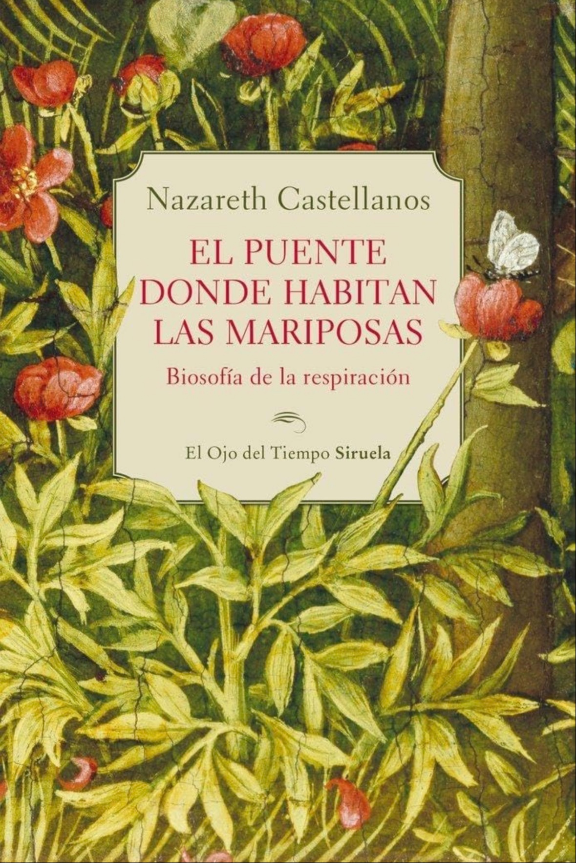 El puente donde habitan las mariposas