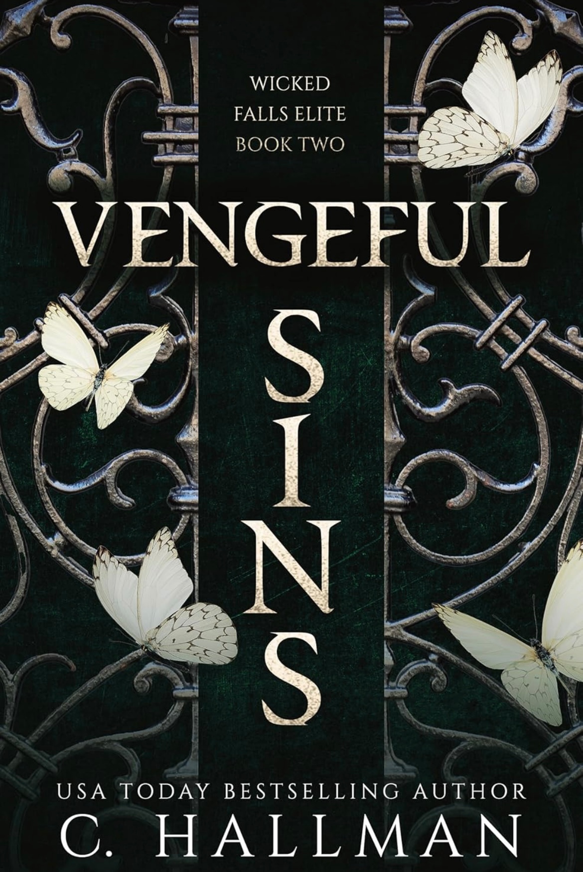 Vengeful Sins