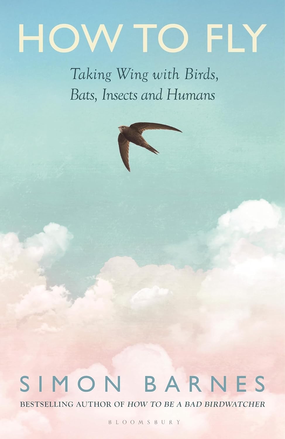 How to Fly