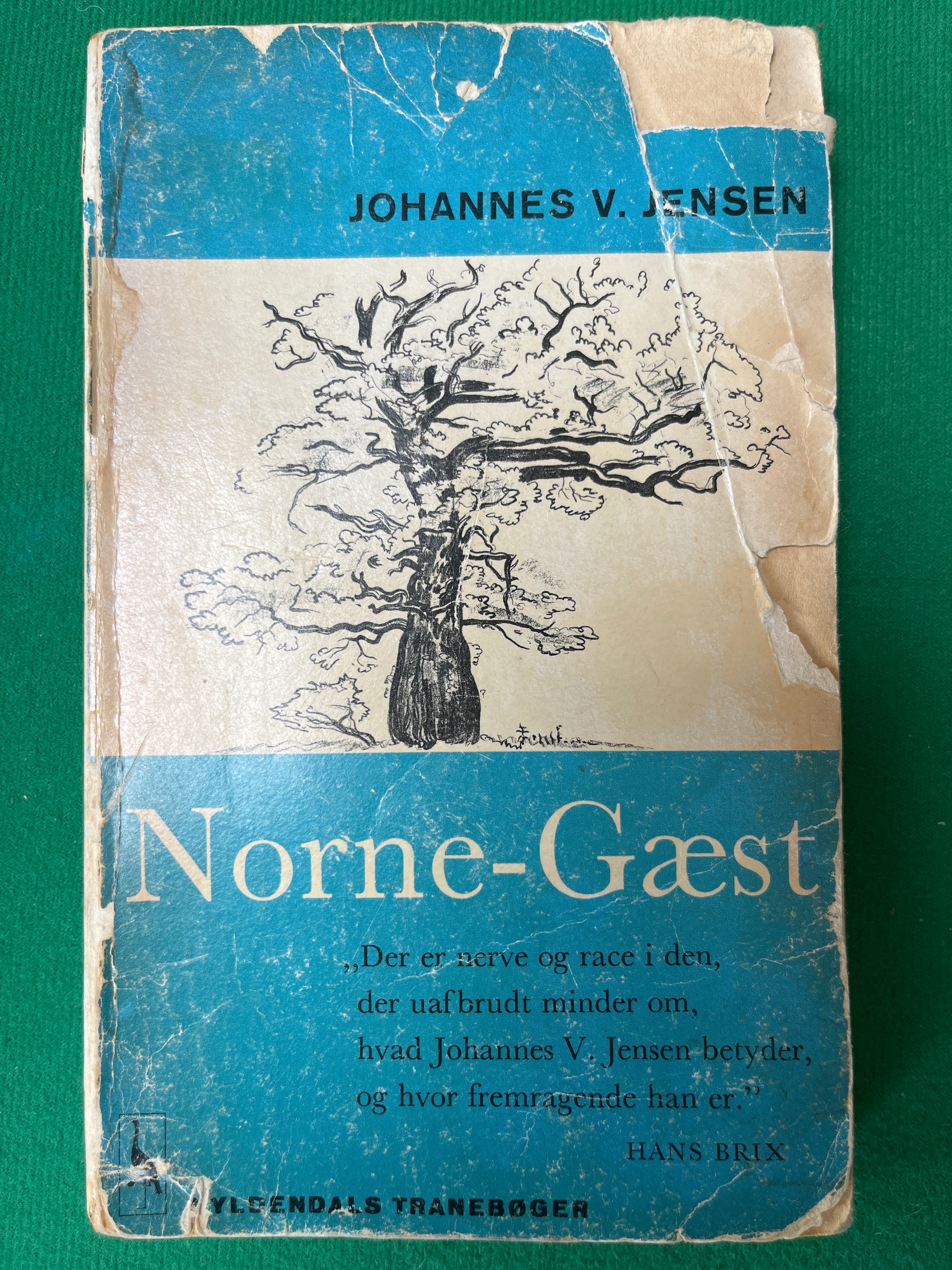Norne-gæst