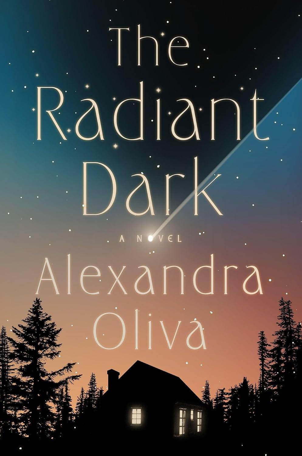 The Radiant Dark: A Novel