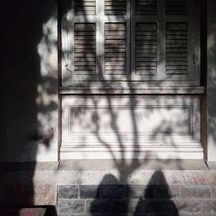 Photo of Dhruvi Modi