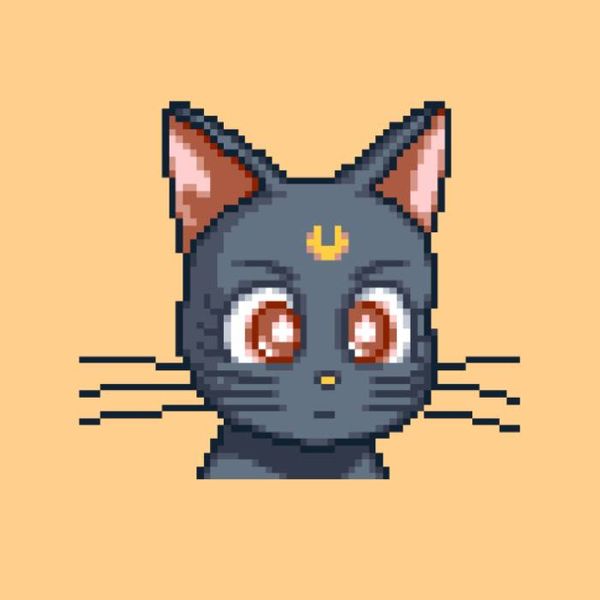 Photo of Mafalda Alves