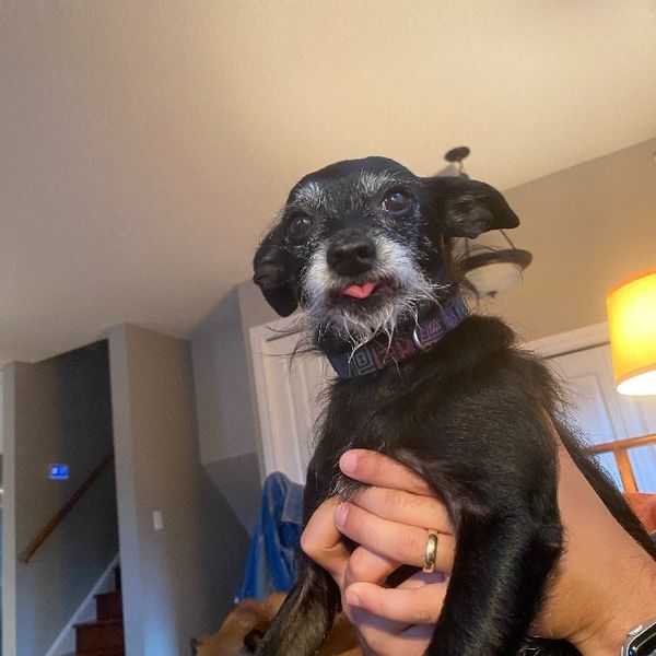 Photo of Clarissa Thomas