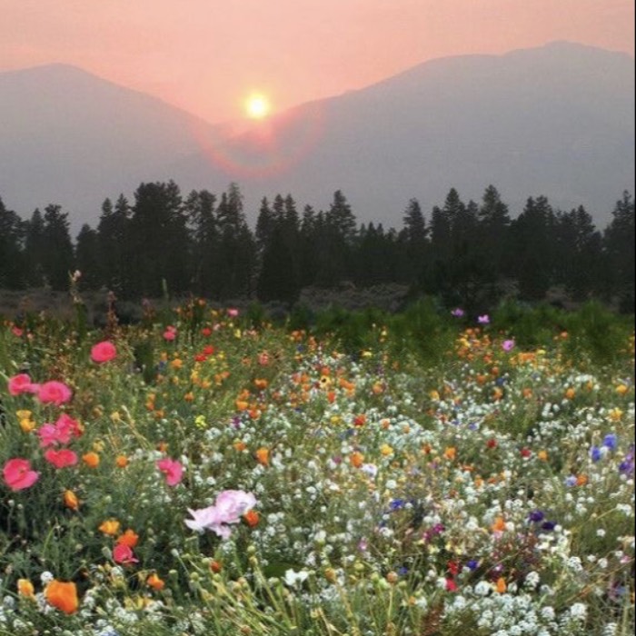 Photo of Sarah Holen