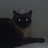Photo of zoe