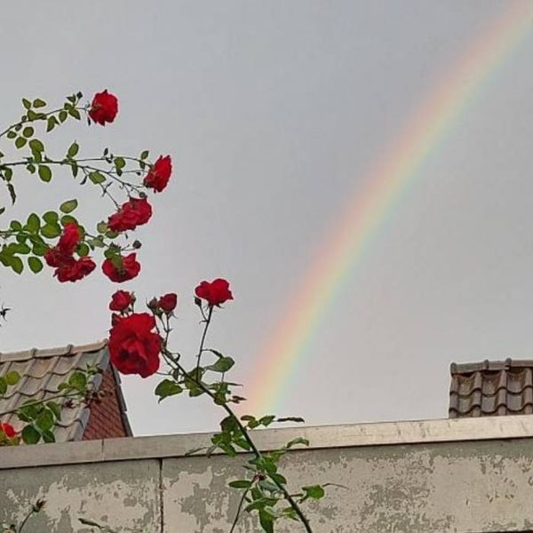 Photo of emma merison