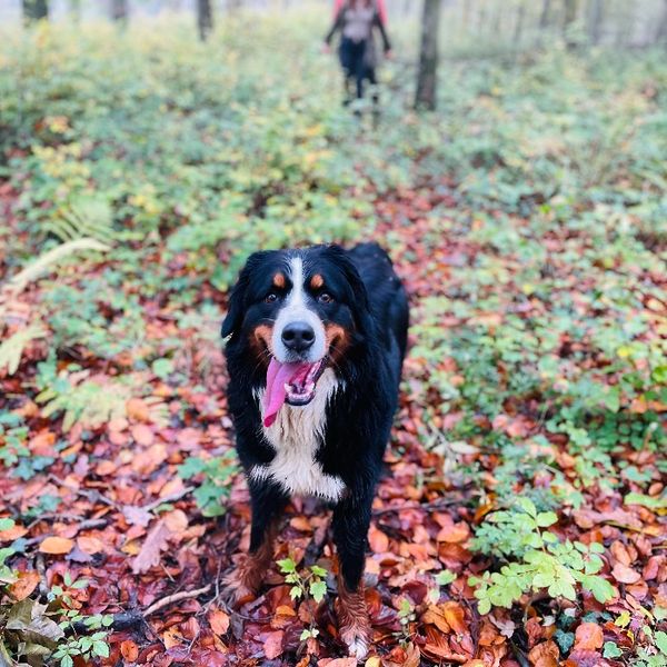Photo of Sophie 