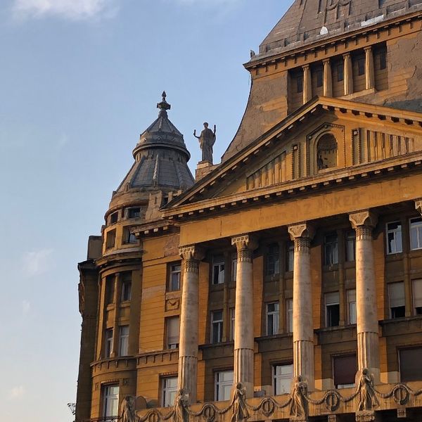 Photo of Elyse Tirion