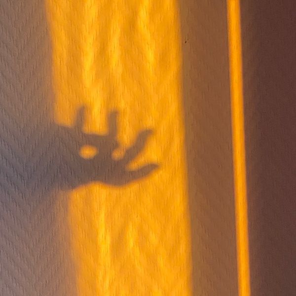 Photo of Carolina Castelnuovo 