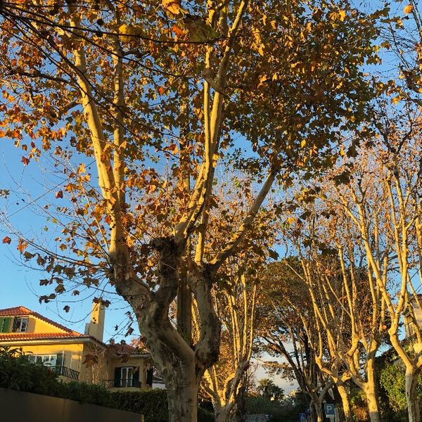 Photo of Hanna Szewlakow