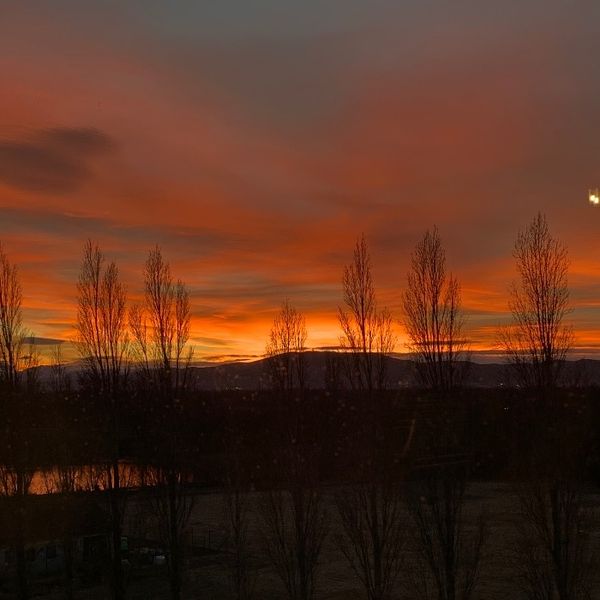 Photo of Leonie Fink