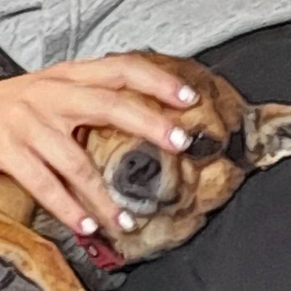 Photo of Aurora Spiga