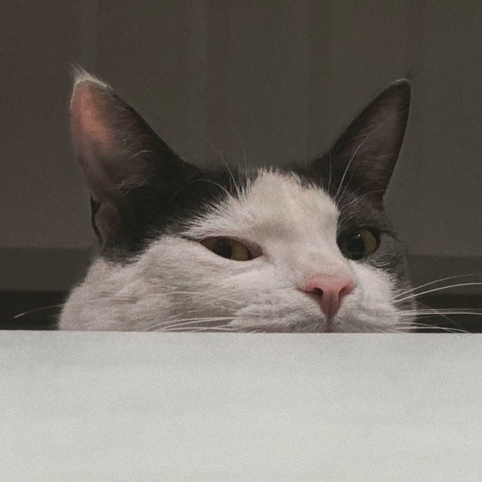 Photo of Valentina