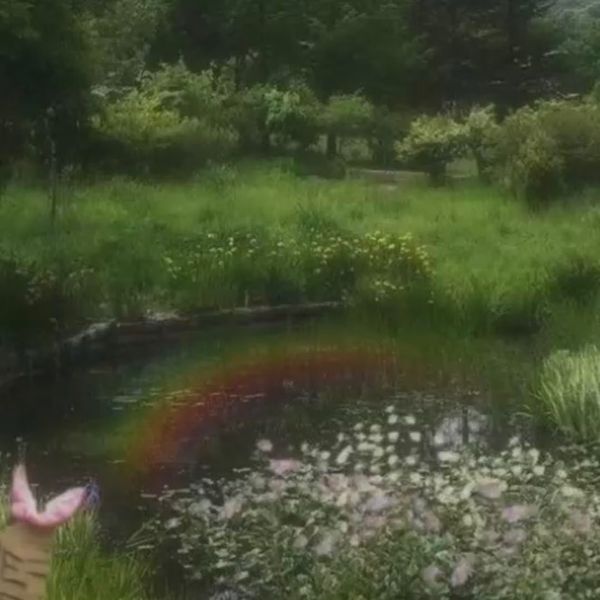 Photo of Julissa Mijnten 