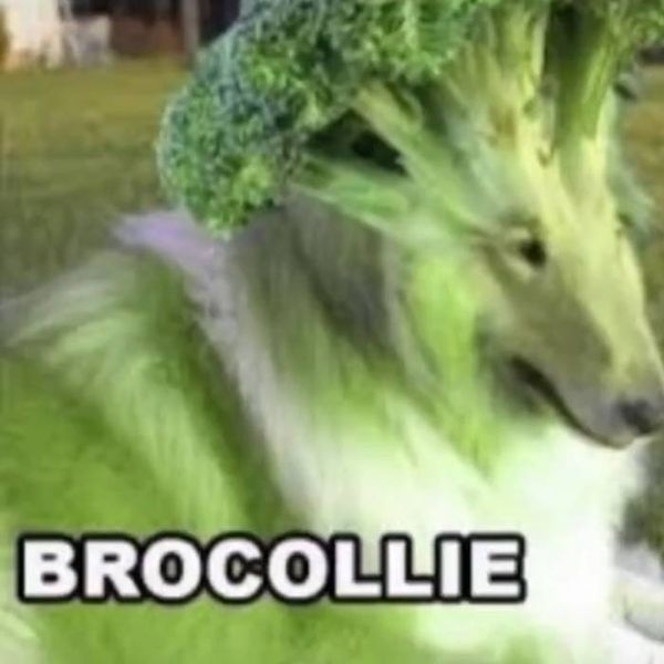 Photo of Hilu hOffren