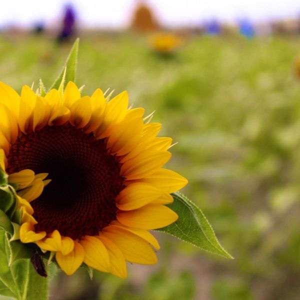 Photo of Tatiana Centeno