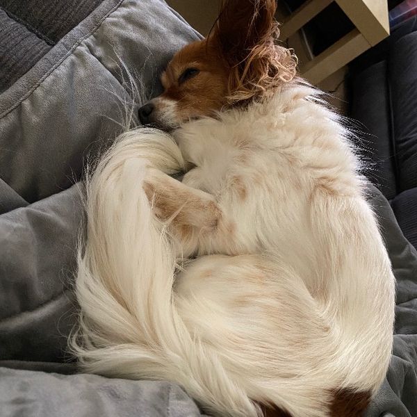 Photo of Ashleigh Hubbard