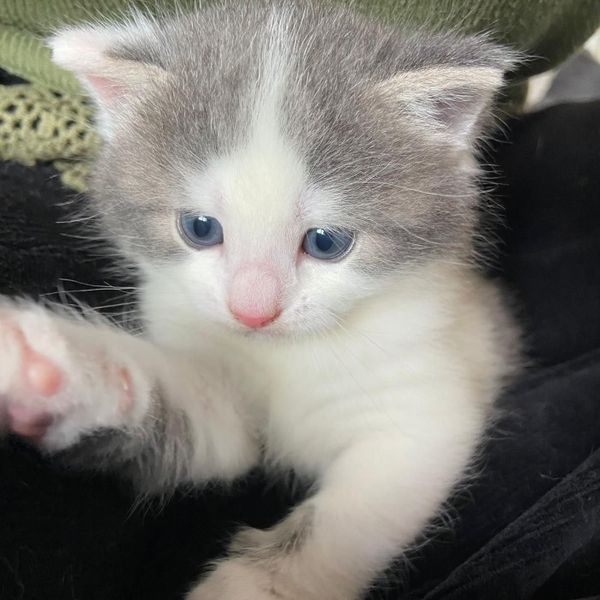 Photo of Meike van Duuren 