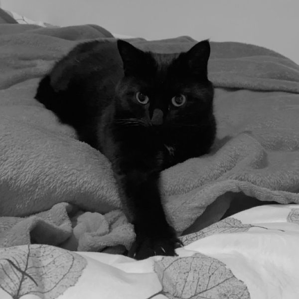 Photo of Lieke Knoppers