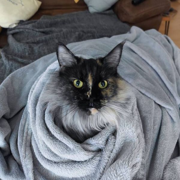 Photo of Elisabeth Hoffmann 