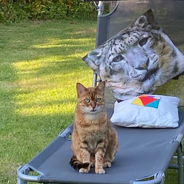 Photo of Kate Willmoth