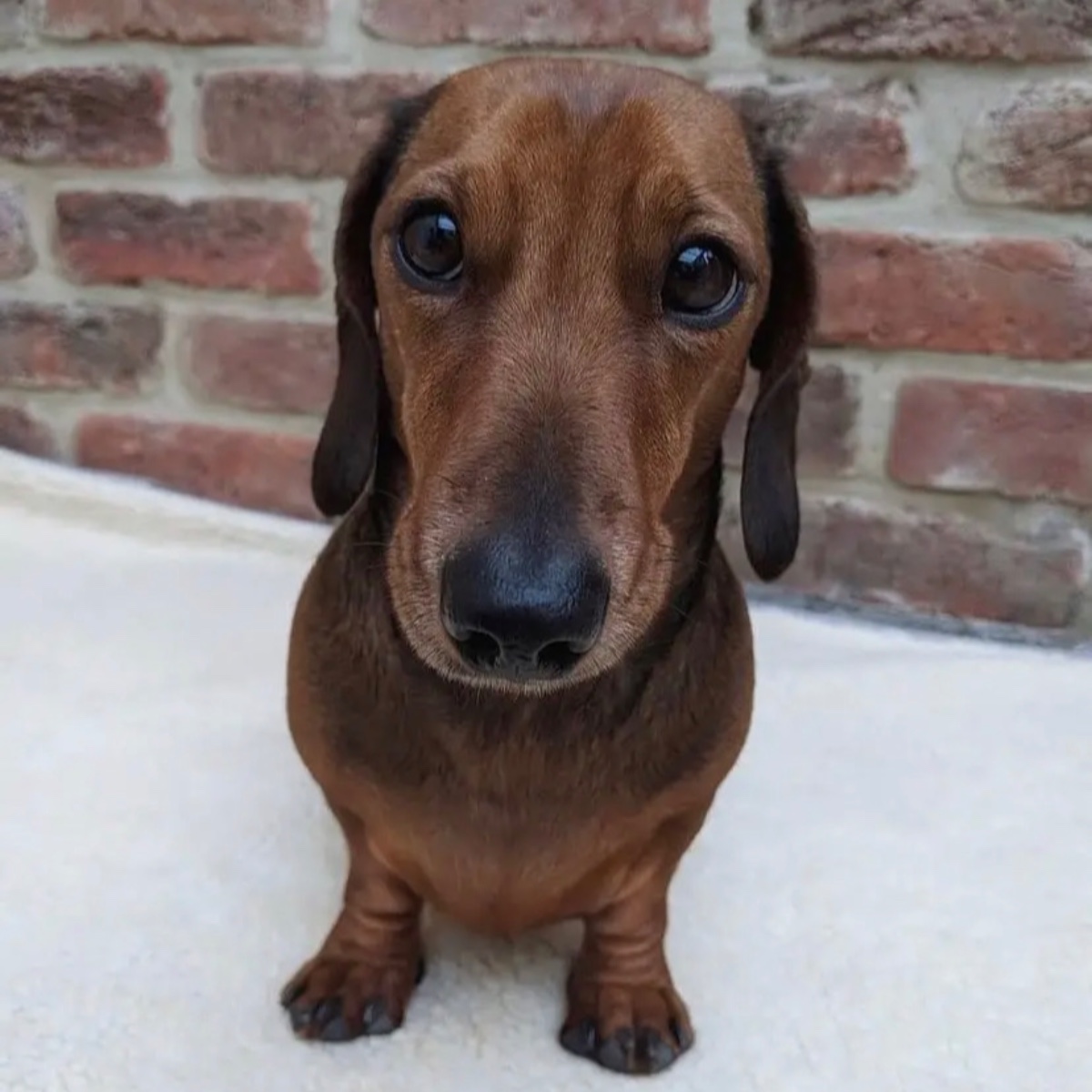 Photo of Cole Lacoste