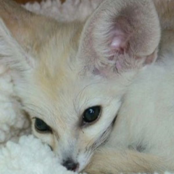 Photo of Jessica Clarke