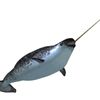 Photo of Dusty Narwhal