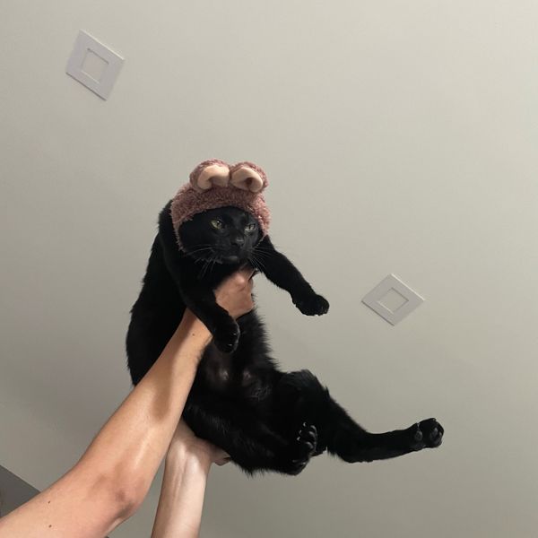 Photo of Louis McKenzie