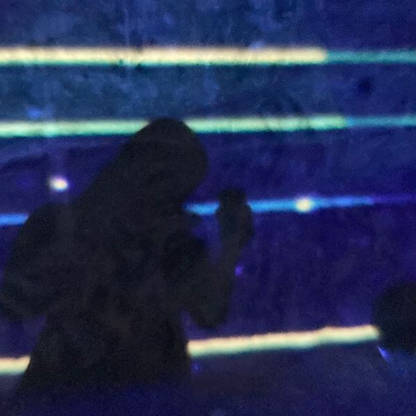 Photo of tiana cormick