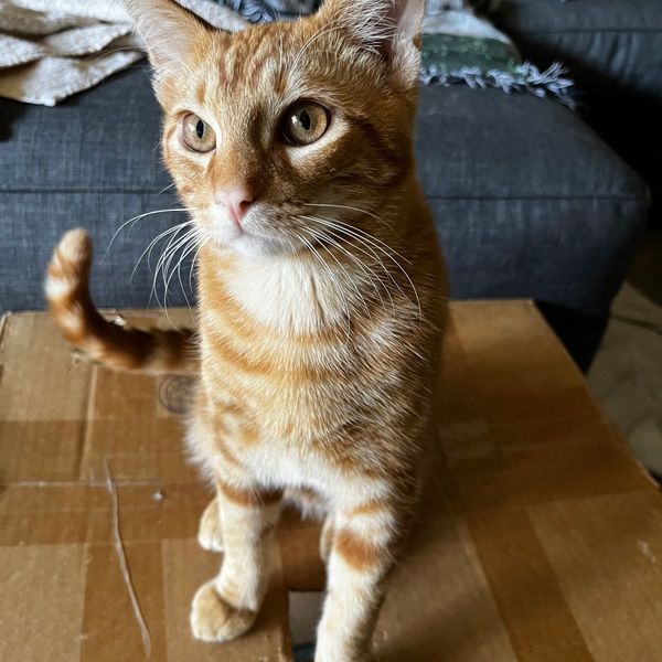 Photo of Elisa Ayala