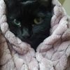 Photo of Chariah